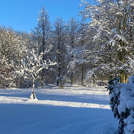 Вилла Skont Hus Pa Landet Taet Pa Billund Гиве Экстерьер фото