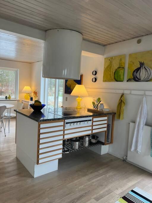 Вилла Skont Hus Pa Landet Taet Pa Billund Гиве Экстерьер фото